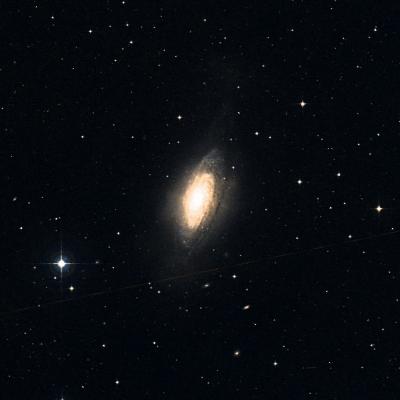 NGC 3521 survey image
