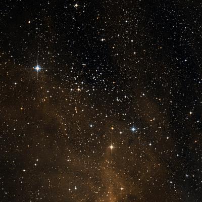 NGC 2335 survey image