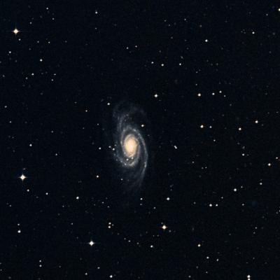 NGC 4939 survey image