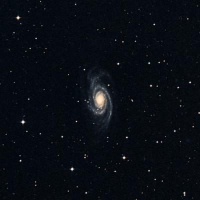 NGC 4939 survey image