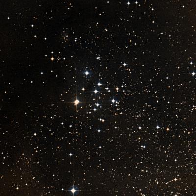 NGC 2343 survey image