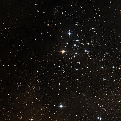 NGC 2343 survey image