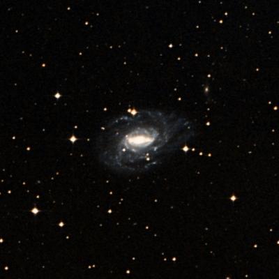 NGC 1784 survey image