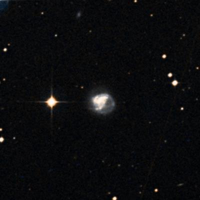 NGC 1338 survey image