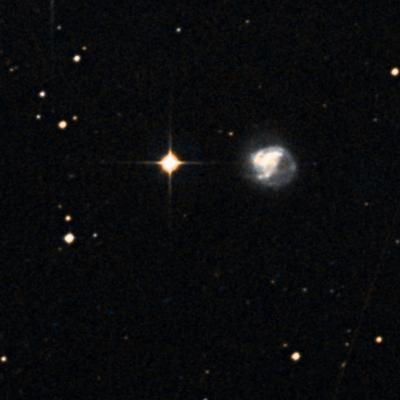 NGC 1338 survey image
