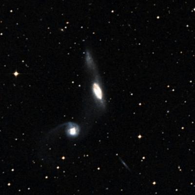 NGC 2992 survey image