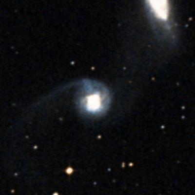 NGC 2993 survey image