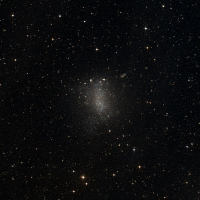 Barnard's Galaxy survey image