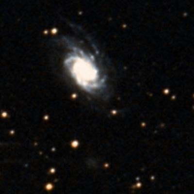 NGC 2989 survey image