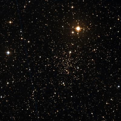NGC 2204 survey image