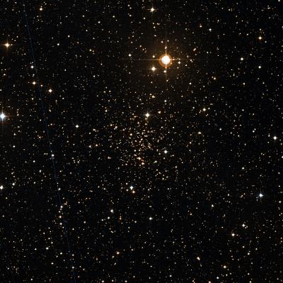 NGC 2204 survey image