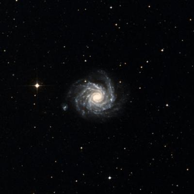 NGC 1232 survey image