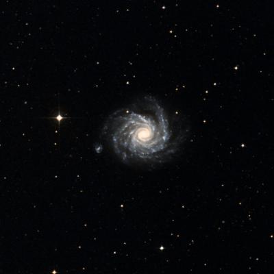 NGC 1232 survey image