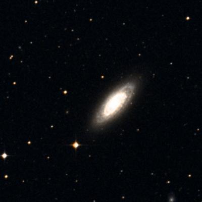 NGC 1353 survey image