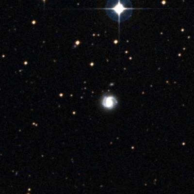 NGC 3146 survey image