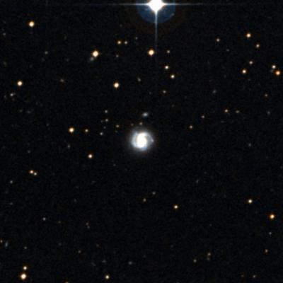 NGC 3146 survey image