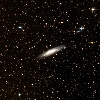 NGC 2613 survey image