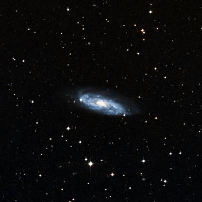 NGC 3511 survey image