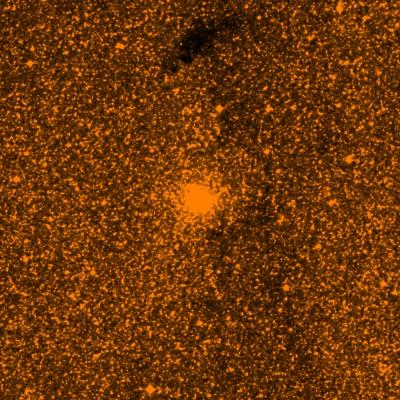 NGC 6401 survey image
