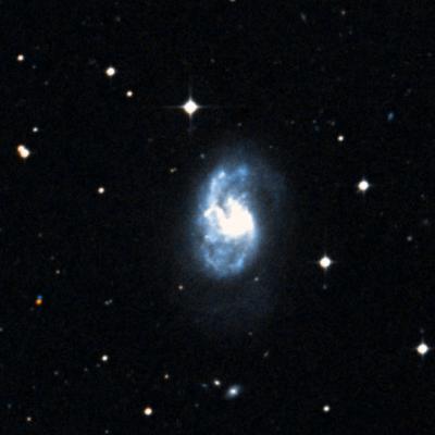 NGC 1385 survey image