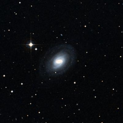 NGC 1371 survey image