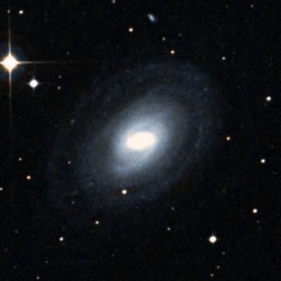NGC 1367 survey image