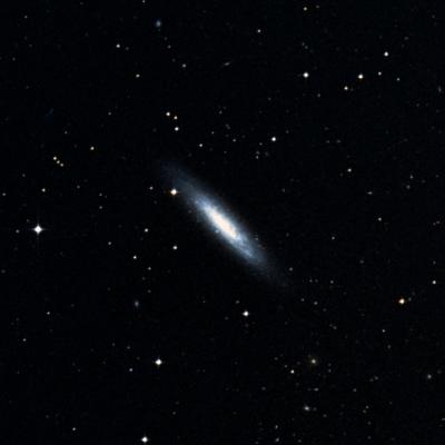 NGC 24 survey image