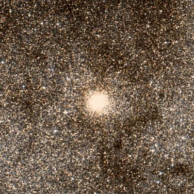 NGC 6553 survey image