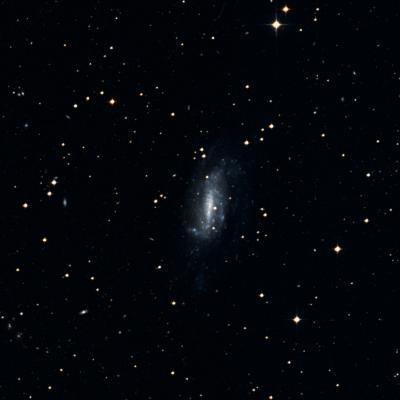 NGC 1744 survey image