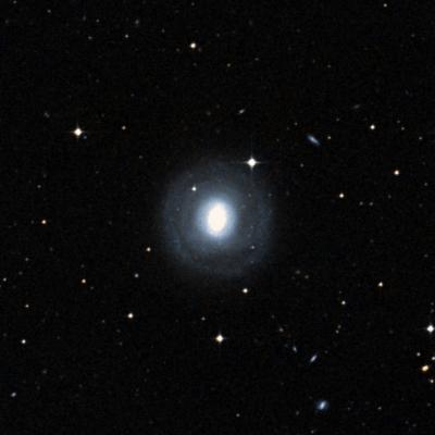 NGC 1302 survey image