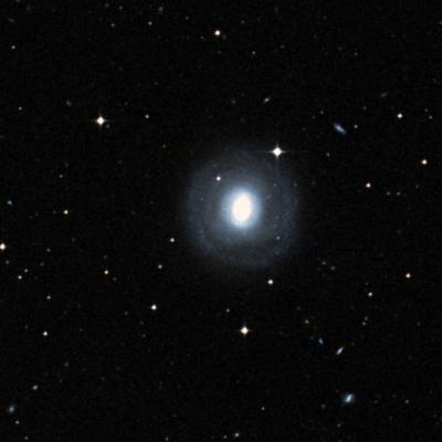 NGC 1302 survey image
