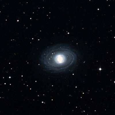NGC 1398 survey image