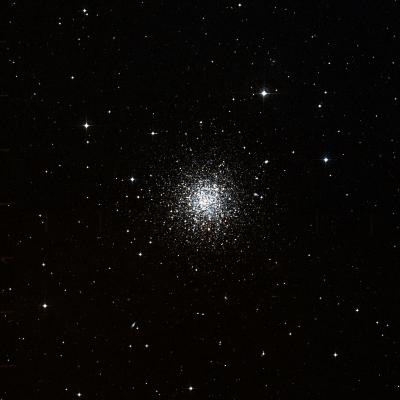 NGC 288 survey image