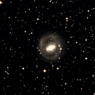 NGC 2217 survey image