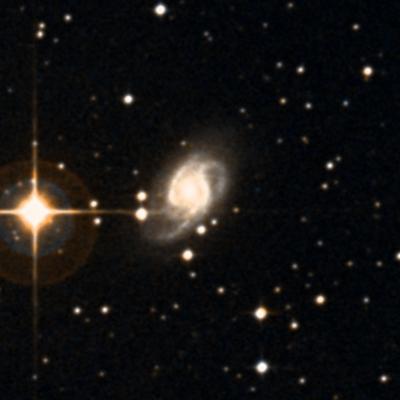 NGC 3089 survey image