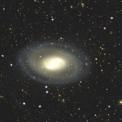 NGC 1079 survey image