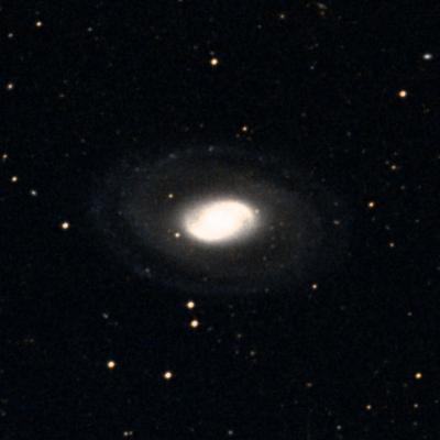 NGC 1079 survey image