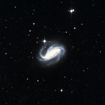 NGC 613 survey image