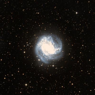 Messier 83 survey image