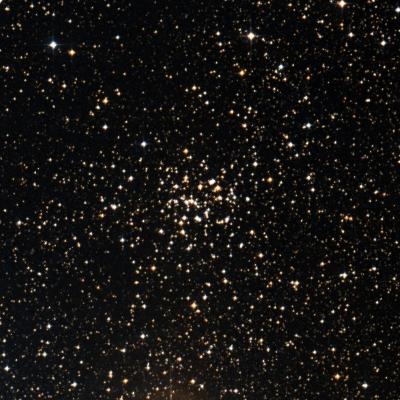 NGC 2489 survey image