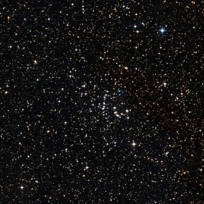NGC 2567 survey image