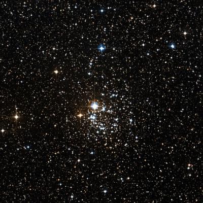NGC 2439 survey image