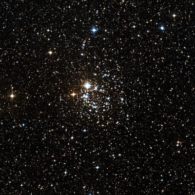 NGC 2439 survey image