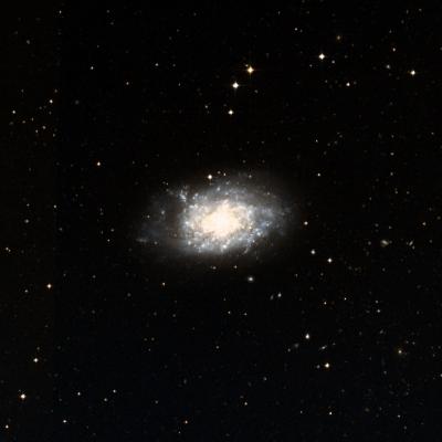 NGC 7793 survey image