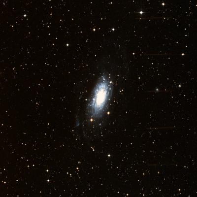 NGC 3621 survey image