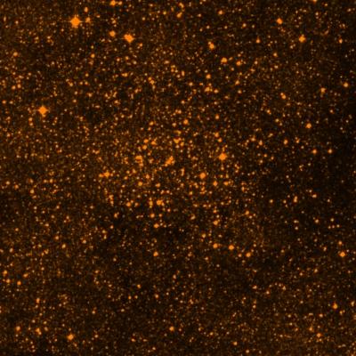 NGC 6404 survey image