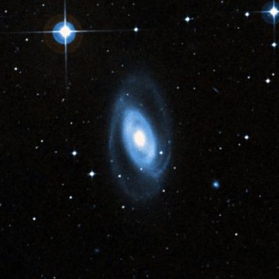 NGC 1350 survey image
