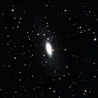 NGC 2090 survey image