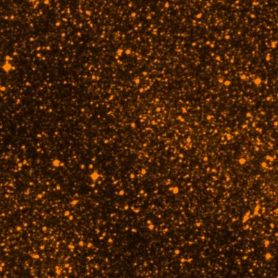 NGC 6396 survey image