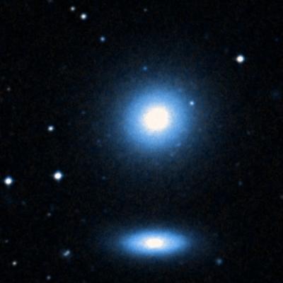NGC 1374 survey image
